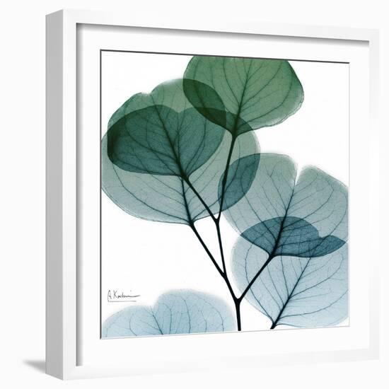 Dull Eucalyptus Mate-Albert Koetsier-Framed Art Print