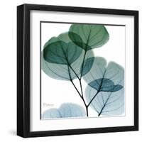 Dull Eucalyptus Mate-Albert Koetsier-Framed Art Print