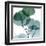 Dull Eucalyptus Mate-Albert Koetsier-Framed Art Print