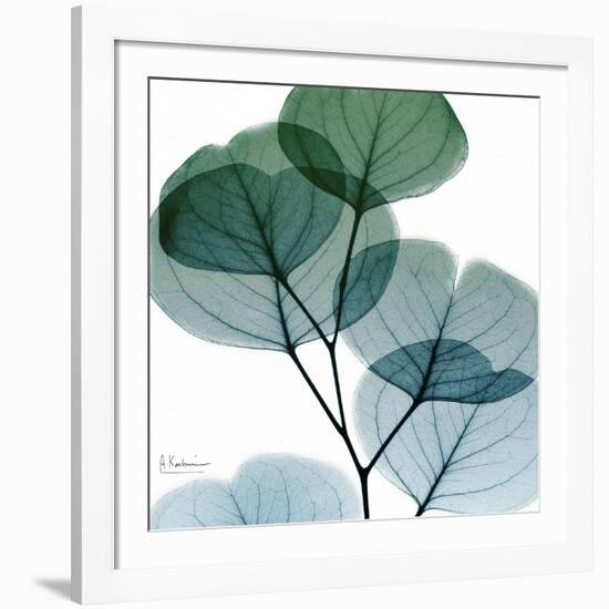 Dull Eucalyptus Mate-Albert Koetsier-Framed Art Print