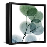 Dull Eucalyptus-Albert Koetsier-Framed Stretched Canvas