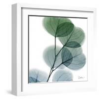 Dull Eucalyptus-Albert Koetsier-Framed Art Print