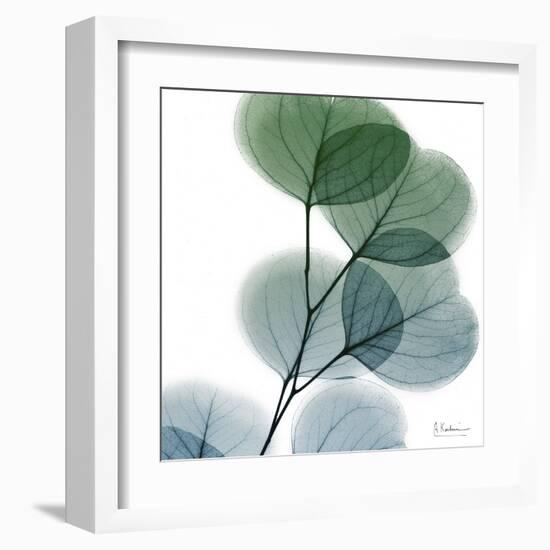 Dull Eucalyptus-Albert Koetsier-Framed Art Print