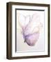 Dulzura Mariposa I-Leticia Herrera-Framed Art Print