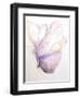 Dulzura Mariposa I-Leticia Herrera-Framed Art Print