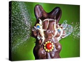 Dum Dum Bunny-Alan Sailer-Stretched Canvas