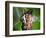 Dum Dum Bunny-Alan Sailer-Framed Photographic Print