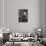 Dumas Fils Photo-null-Stretched Canvas displayed on a wall