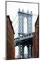 Dumbo View-Erin Clark-Mounted Giclee Print