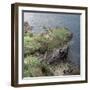 Dun Gruigaig, a Promontory Fort on the Isle of Skye-CM Dixon-Framed Photographic Print