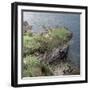 Dun Gruigaig, a Promontory Fort on the Isle of Skye-CM Dixon-Framed Photographic Print