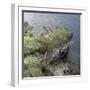 Dun Gruigaig, a Promontory Fort on the Isle of Skye-CM Dixon-Framed Photographic Print