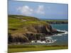 Dunabrattin Head, the Copper Coast, County Waterford, Ireland-null-Mounted Photographic Print