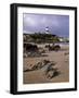 Dunagree Point Lighthouse, Inishoven Peninsula, County Donegal, Ulster, Republic of Ireland, Europe-Patrick Dieudonne-Framed Photographic Print