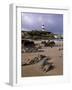 Dunagree Point Lighthouse, Inishoven Peninsula, County Donegal, Ulster, Republic of Ireland, Europe-Patrick Dieudonne-Framed Photographic Print