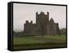 Dunbrody Abbey, Dumbrody, County Wexford, Leinster, Republic of Ireland (Eire)-Sergio Pitamitz-Framed Stretched Canvas
