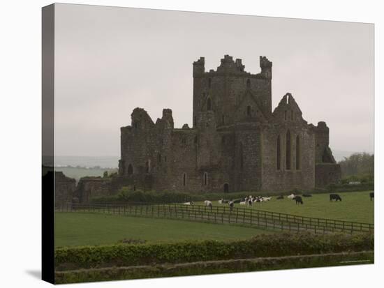 Dunbrody Abbey, Dumbrody, County Wexford, Leinster, Republic of Ireland (Eire)-Sergio Pitamitz-Stretched Canvas