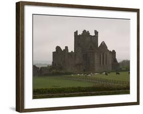 Dunbrody Abbey, Dumbrody, County Wexford, Leinster, Republic of Ireland (Eire)-Sergio Pitamitz-Framed Photographic Print