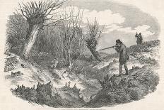 Rabbit Shooting Near Tunbridge Kent-Duncan-Mounted Photographic Print