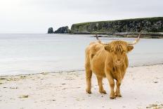 West Highland Coastline-Duncan Shaw-Photographic Print