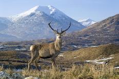 West Highland Coastline-Duncan Shaw-Photographic Print