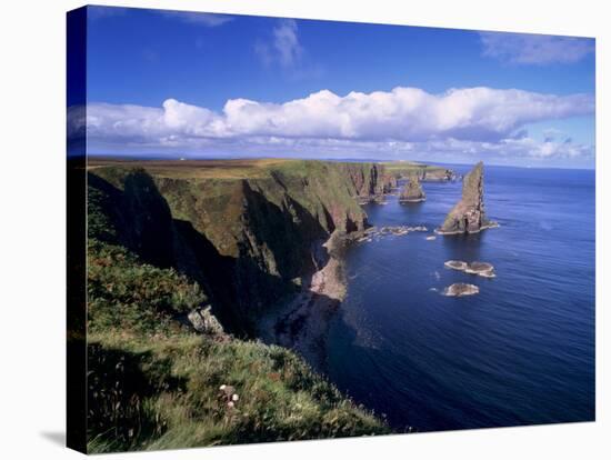 Duncansby Head Sea Stacks, North-East Tip of Scotland, Caithness, Highland Region, Scotland, UK-Patrick Dieudonne-Stretched Canvas