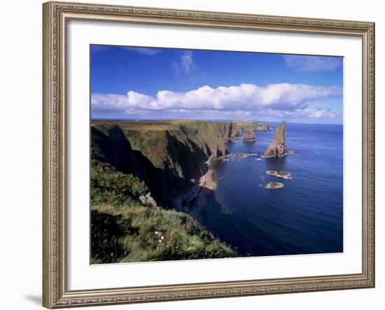 Duncansby Head Sea Stacks, North-East Tip of Scotland, Caithness, Highland Region, Scotland, UK-Patrick Dieudonne-Framed Photographic Print