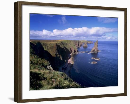 Duncansby Head Sea Stacks, North-East Tip of Scotland, Caithness, Highland Region, Scotland, UK-Patrick Dieudonne-Framed Photographic Print