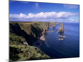 Duncansby Head Sea Stacks, North-East Tip of Scotland, Caithness, Highland Region, Scotland, UK-Patrick Dieudonne-Mounted Photographic Print