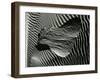 Dune, 1968-Brett Weston-Framed Premium Photographic Print