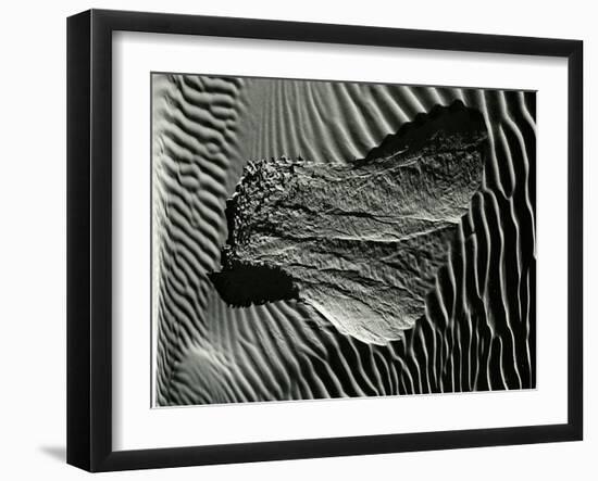 Dune, 1968-Brett Weston-Framed Premium Photographic Print