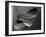 Dune, 1968-Brett Weston-Framed Premium Photographic Print