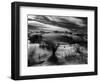 Dune and Yucca, White Sands, New Mexico, 1946-Brett Weston-Framed Photographic Print