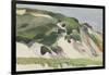 Dune at Truro, 1930-Edward Hopper-Framed Giclee Print