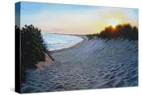 Dune Burst-Bruce Dumas-Stretched Canvas