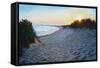 Dune Burst-Bruce Dumas-Framed Stretched Canvas