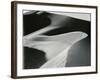 Dune, c. 1960-Brett Weston-Framed Photographic Print