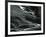 Dune, California, 1966-Brett Weston-Framed Photographic Print