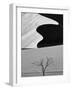 Dune Curves-Ali Khataw-Framed Photographic Print