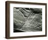 Dune, Detail, c.1950-Brett Weston-Framed Photographic Print