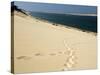 Dune Du Pyla, Bay of Arcachon, Cote D'Argent, Gironde, Aquitaine, France-Groenendijk Peter-Stretched Canvas