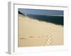 Dune Du Pyla, Bay of Arcachon, Cote D'Argent, Gironde, Aquitaine, France-Groenendijk Peter-Framed Photographic Print