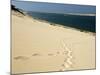 Dune Du Pyla, Bay of Arcachon, Cote D'Argent, Gironde, Aquitaine, France-Groenendijk Peter-Mounted Photographic Print