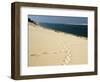 Dune Du Pyla, Bay of Arcachon, Cote D'Argent, Gironde, Aquitaine, France-Groenendijk Peter-Framed Photographic Print