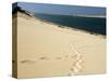 Dune Du Pyla, Bay of Arcachon, Cote D'Argent, Gironde, Aquitaine, France-Groenendijk Peter-Stretched Canvas