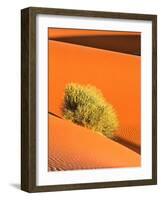 Dune et Herbe-Bilderteam-Framed Art Print