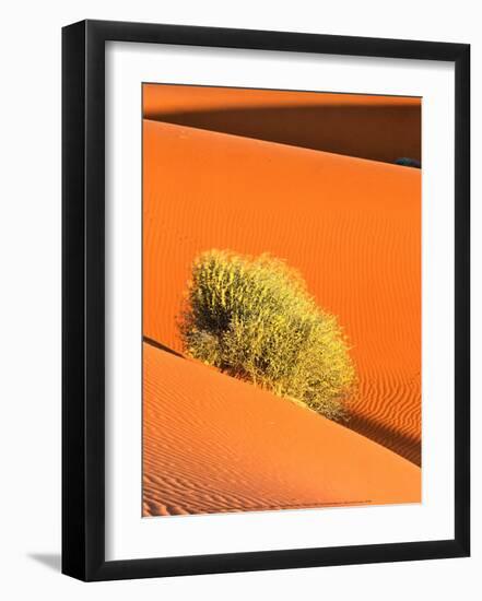 Dune et Herbe-Bilderteam-Framed Art Print