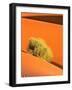 Dune et Herbe-Bilderteam-Framed Art Print