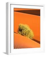 Dune et Herbe-Bilderteam-Framed Art Print