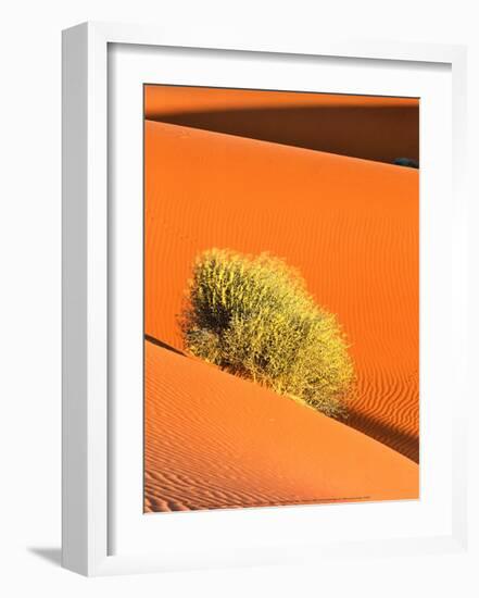 Dune et Herbe-Bilderteam-Framed Art Print